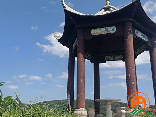 黔陽瞐黔陽黃桃產業園5